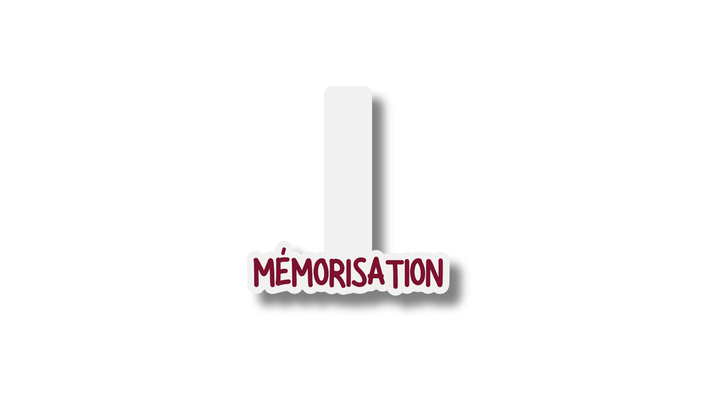 Marque-page magnetique Pack Apprentissage couleur Burgundy