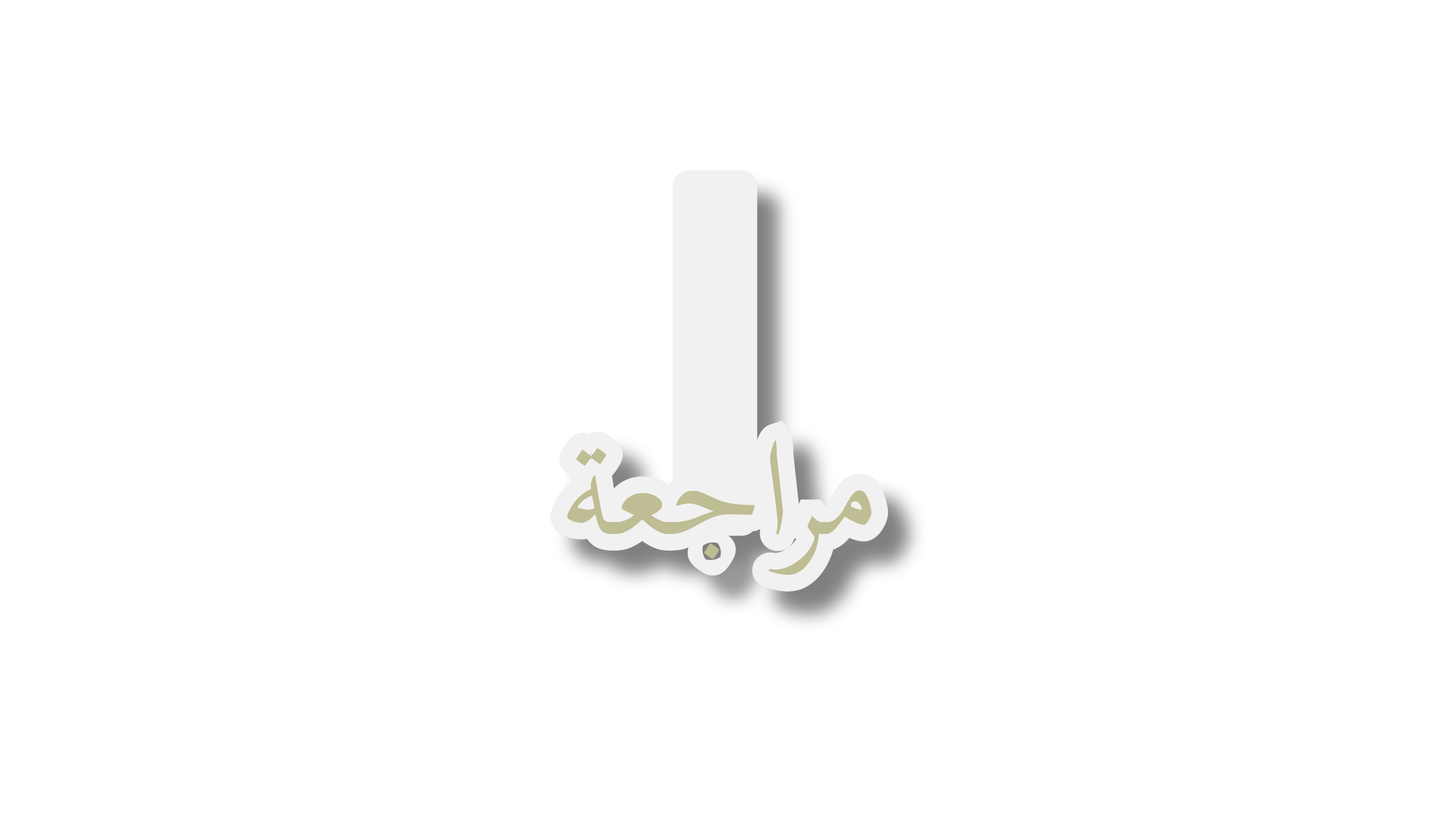 Marque-page magnetique Pack حفظ couleur Green