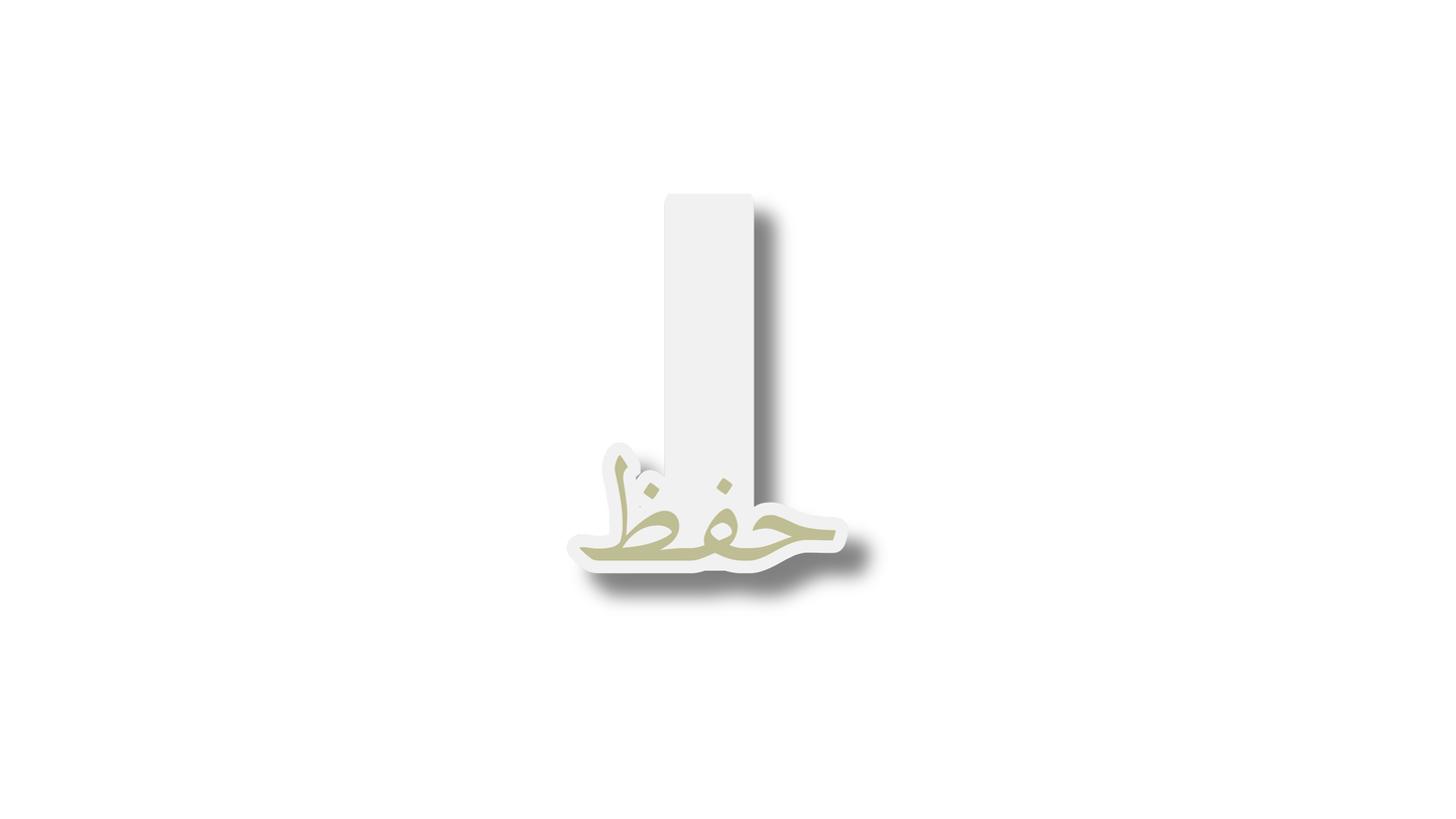 Marque-page magnetique Pack حفظ couleur Green