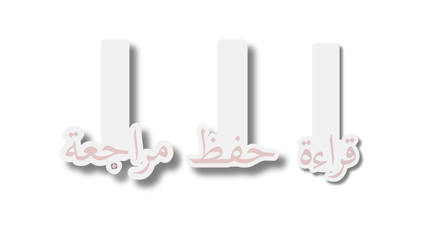 Marque-page magnetique Pack حفظ couleur Pink